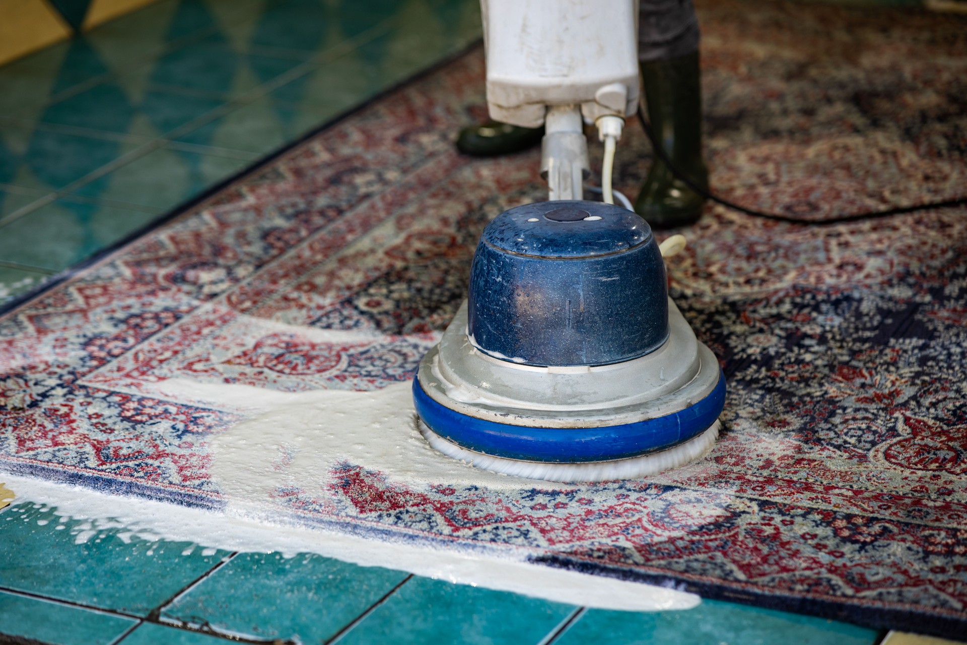 Carpet chemical cleaning with brush.